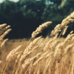 Grace Reformed Baptist Global Missions